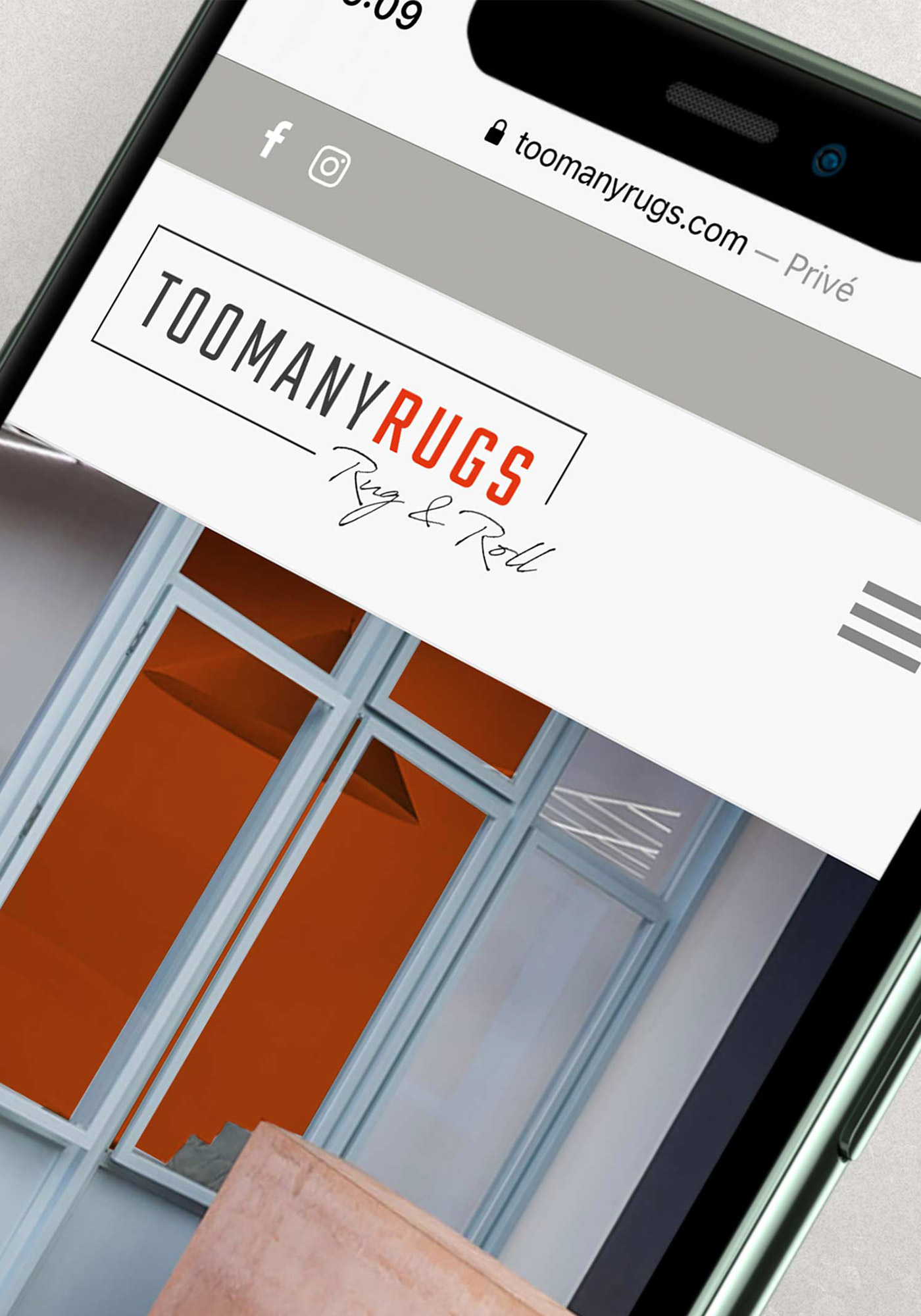 Too Many Rugs Studiomxd